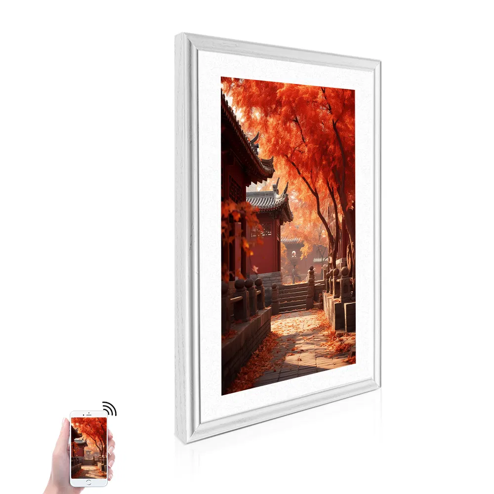 Цифровая фоторамка Allwin Igallery 21.5 дюймов WiFi Full HD