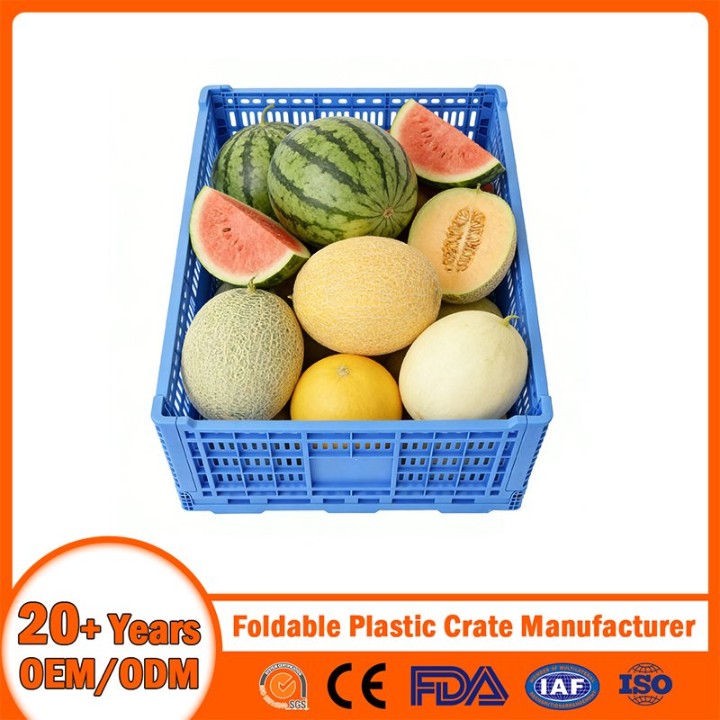 China Plastic Crate Manufacturer PP Foldable Nestable Plastic Lobster Crate Bale Arm Logistic/Brad/Egg/Bear Crate Food Grade Vegetable/Fruit Plastic Crate