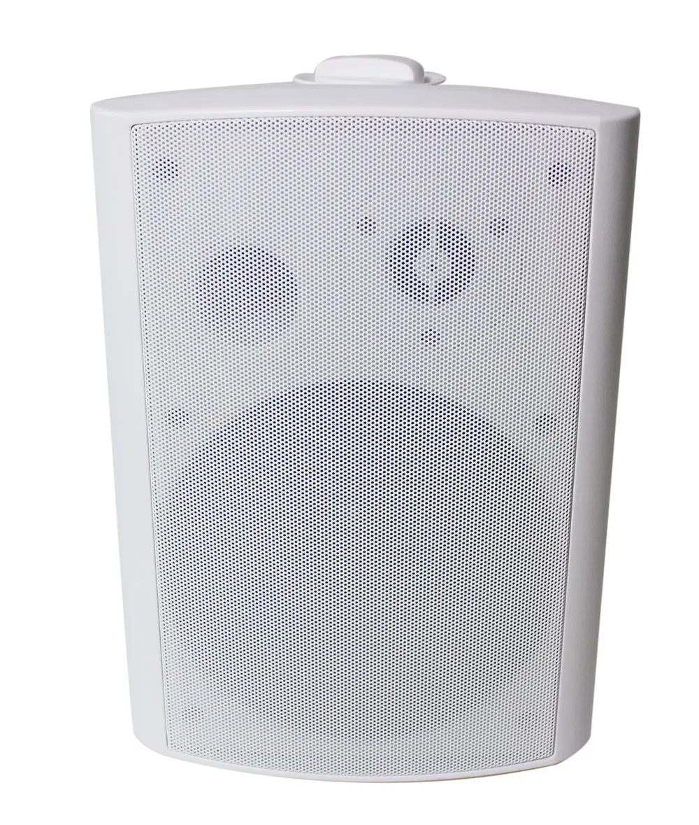 Like Audio 2 Way 2X30W Waterproof Active Outdoor Wall Mount Speaker