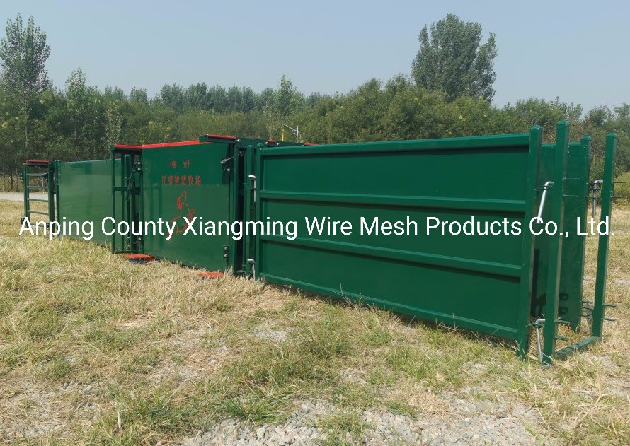 Farm Sheep Yard Sheep Fence