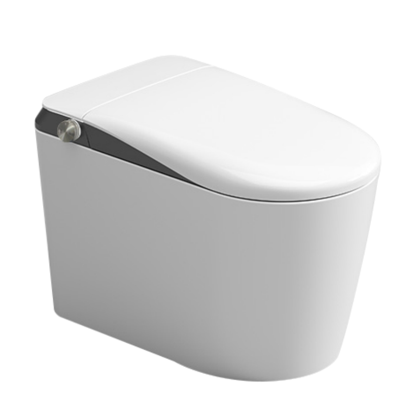 Bestselling Fashion Smart Toilet Ceramic Remote Control Intelligent Toilet Seat