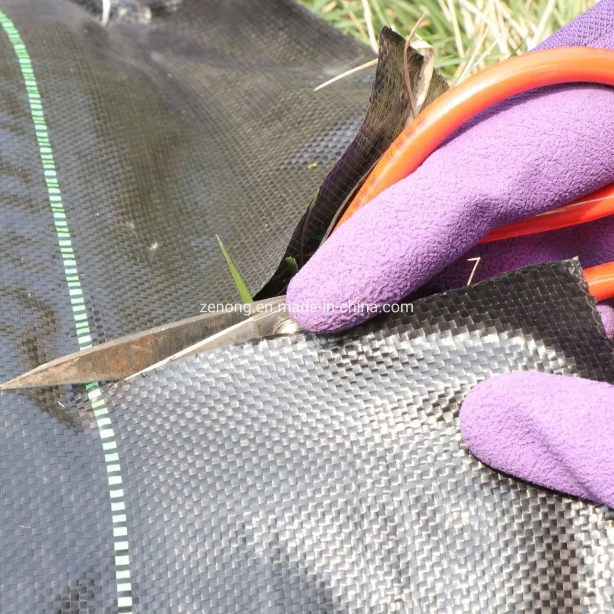 Anti Grass Cloth, Black Weed Control Mat with Line, 100% PP Woven Textile