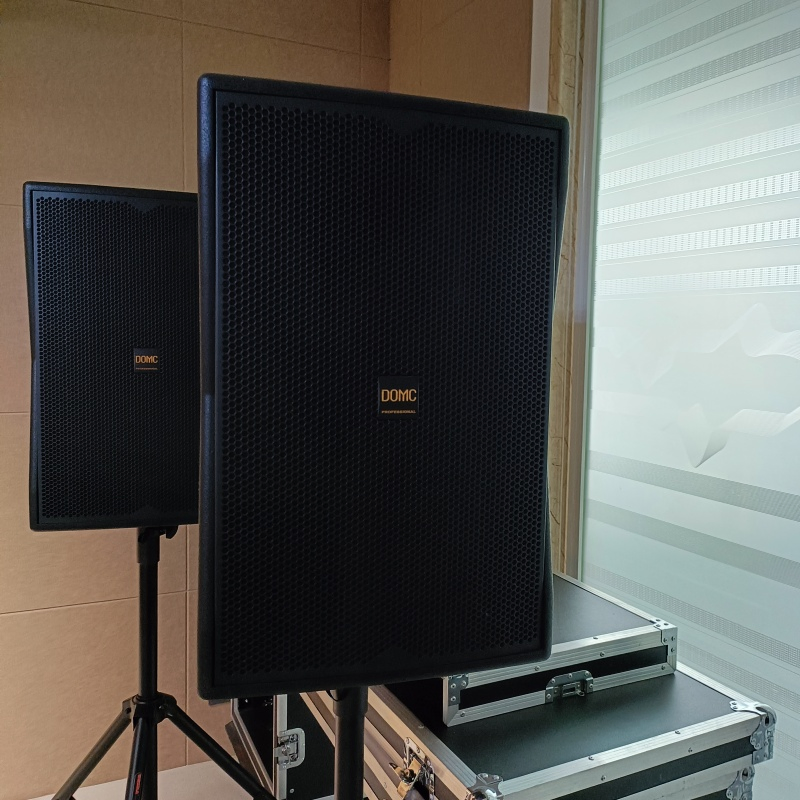 20. Domc K210 10-Inch Speaker: Revolutionizing Your Studio Monitoring Experience