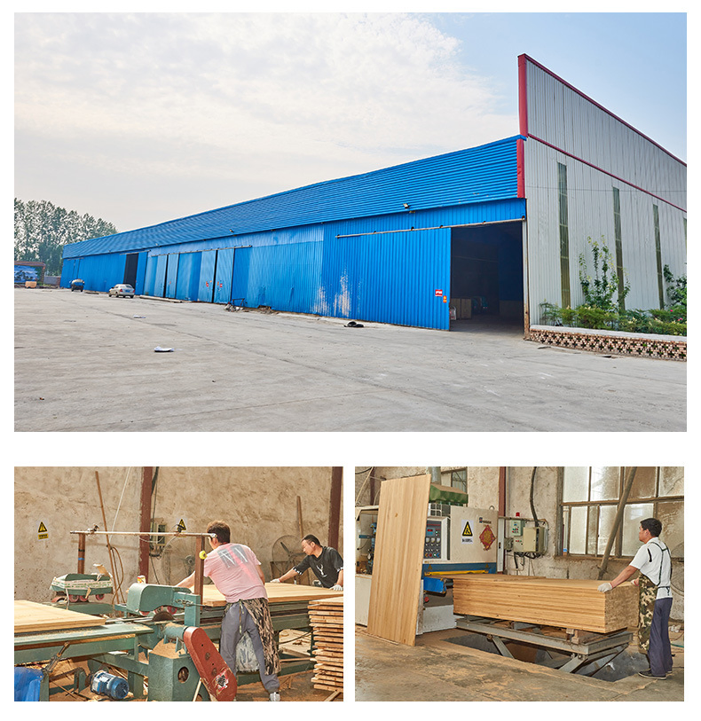 Balsa Paulownia Lumber Solid Wood Timber