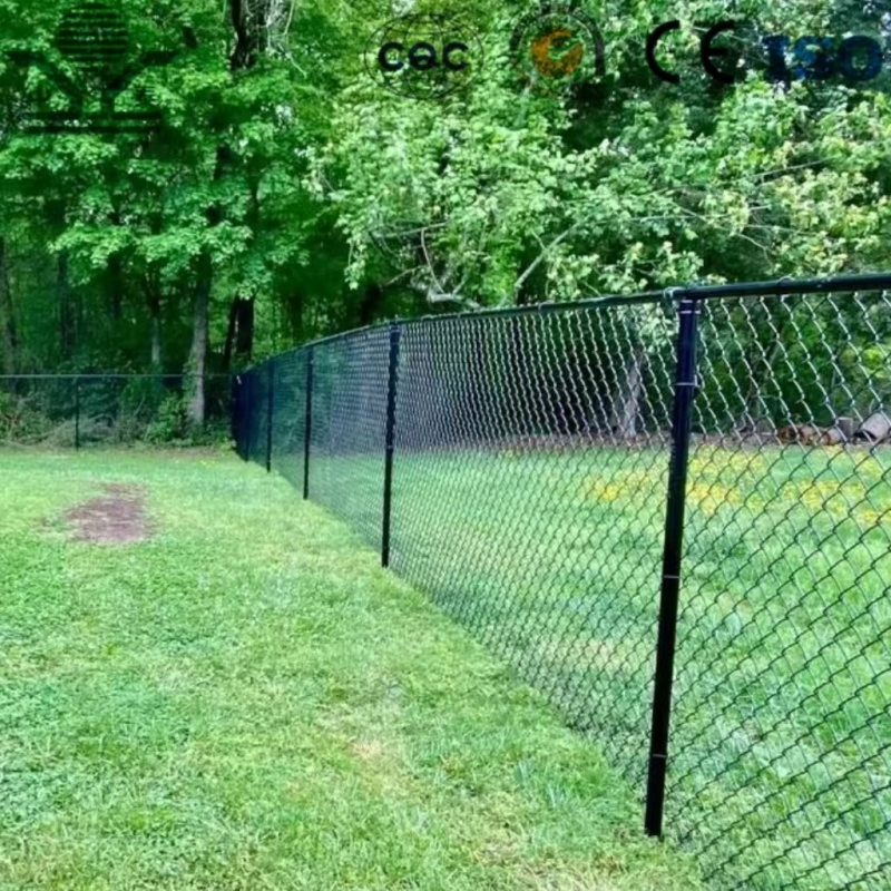 PVC Coated 3.0mm 50× 50mm 2.2m Chain Link Fence for Playground Safety