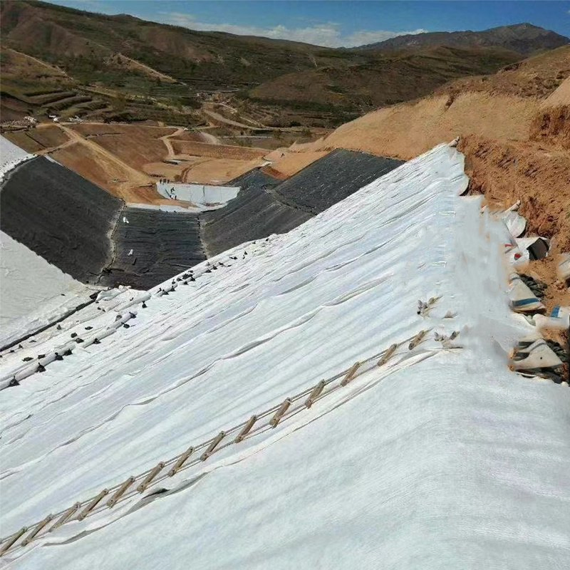 Polypropylene/Polyester Non Woven Needle Punched Geotextile for Road Construction