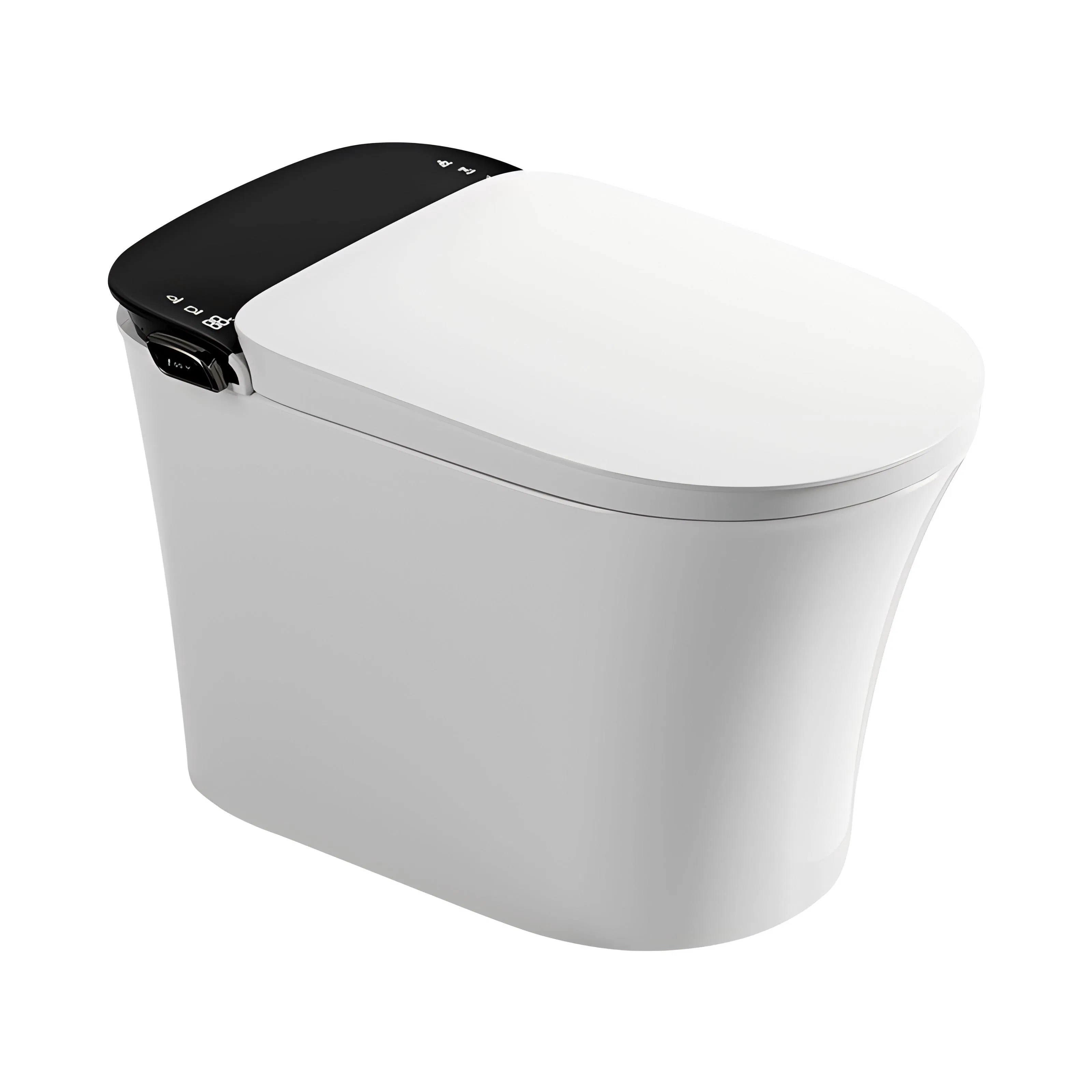 Modern Intelligent Toilet Ceramic Remote Control Intelligent Toilet Seat