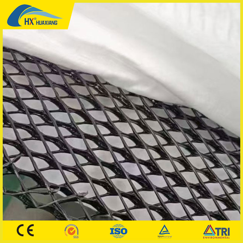 Geosynthetics HDPE Geonet 3D Composite Net Price for Drainage
