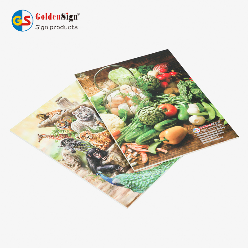 PVC Foam Sheet for Advertising and UV Printing Forex Expanded PVC for Engraving
