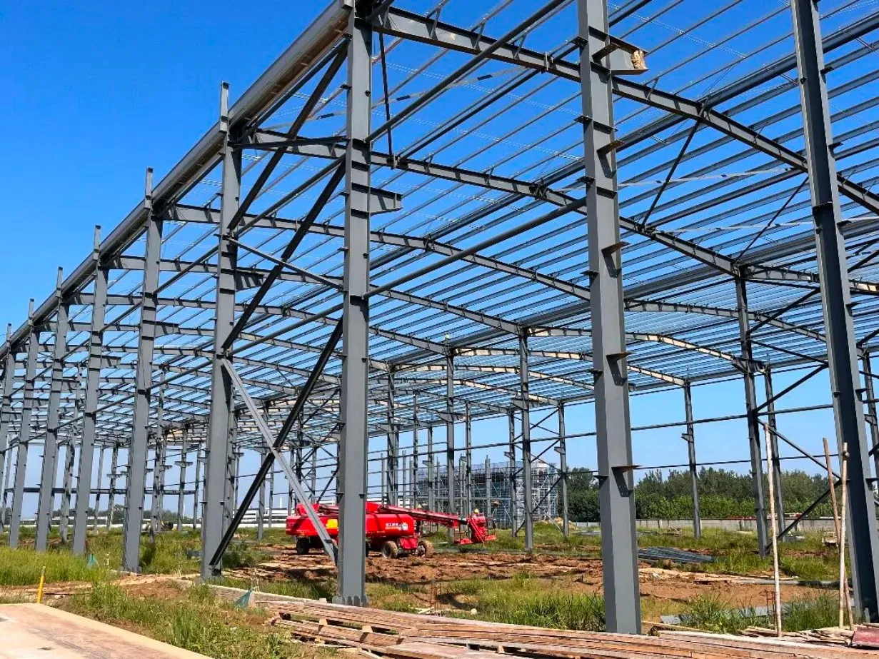 Metal Factory Price Robust Pre-Engineered Building Light Steel Structure with ISO