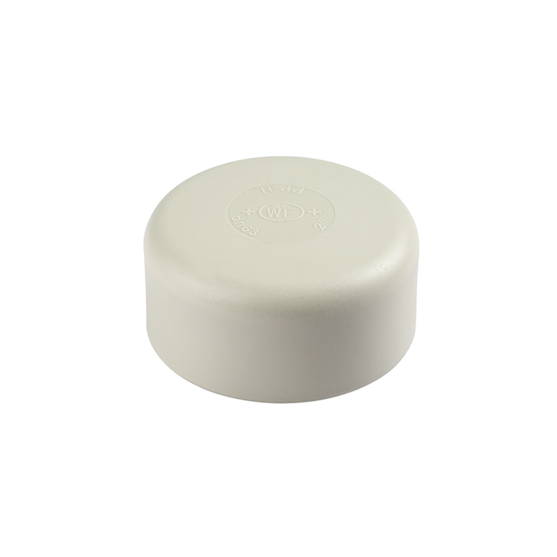 2021 Hot Sale Full Size Plastic Pipe Fittings Pph End Cap