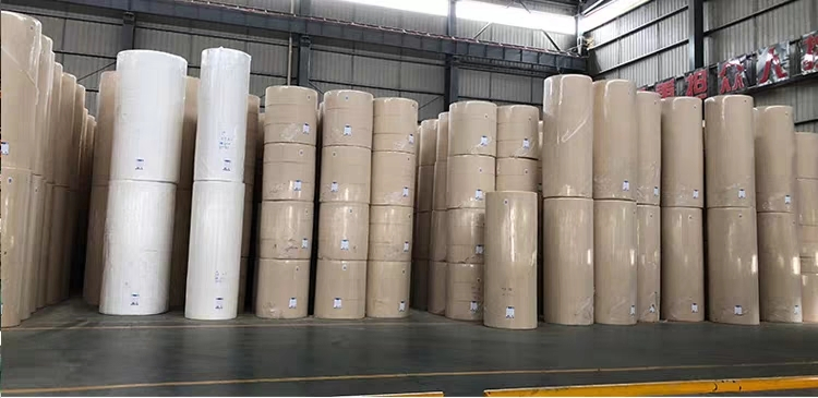 Tissue Paper in Jumbo Reels