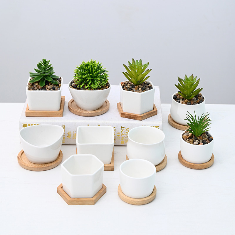 Набор садовый DD2300 мини-растения горшки с подносом чашка