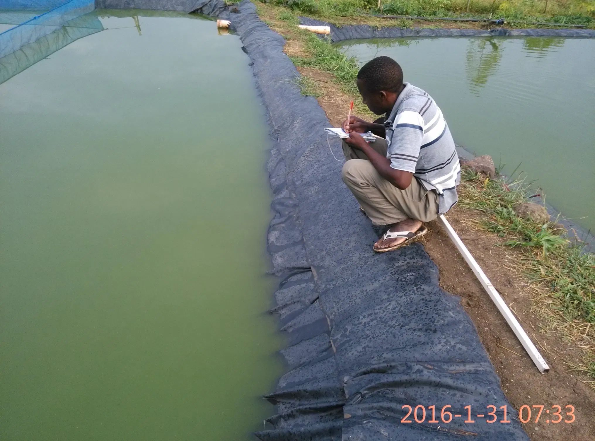 HDPE Geomembrane, Waterproofing Geomembrane for Fish Farm
