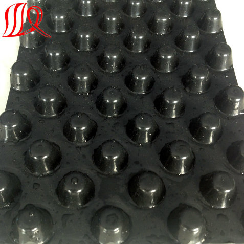 Composite Drainage Board for Roof Engineering