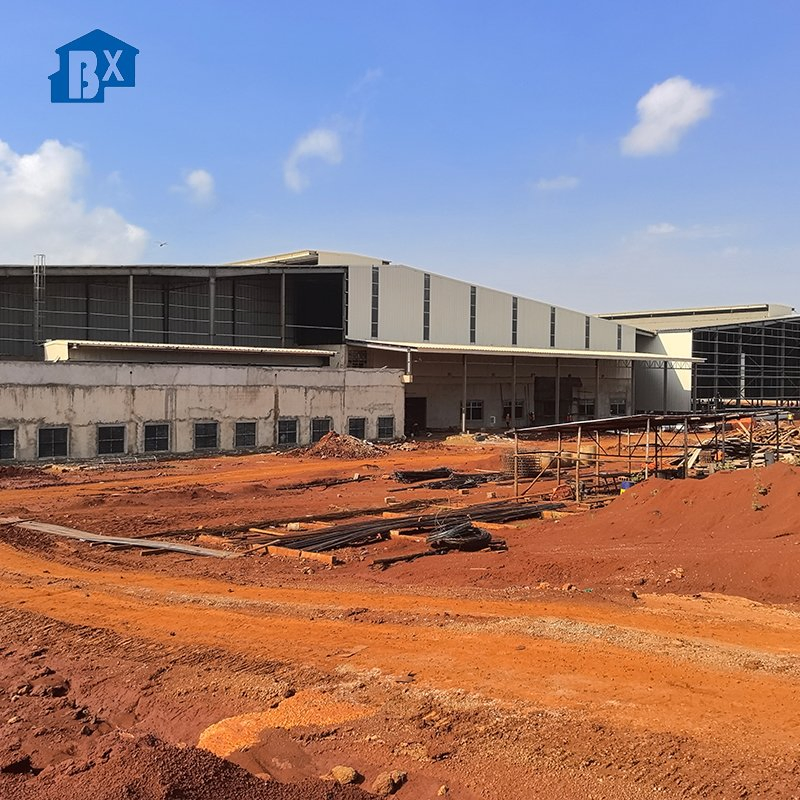 Custom Steel Frame Workshop for Manufacturing