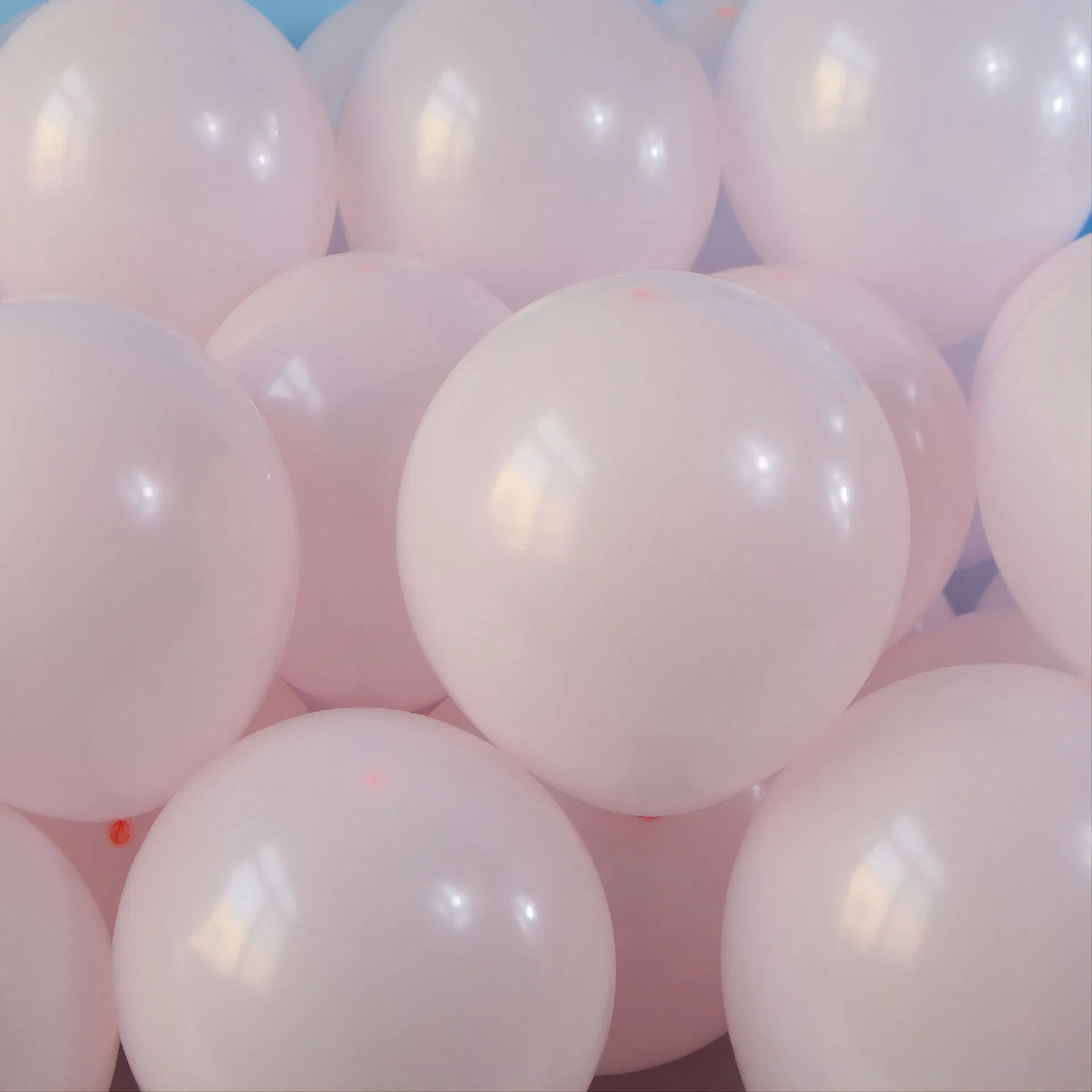 Premium 10-Inch Advertising Balloons for Weddings and Parties