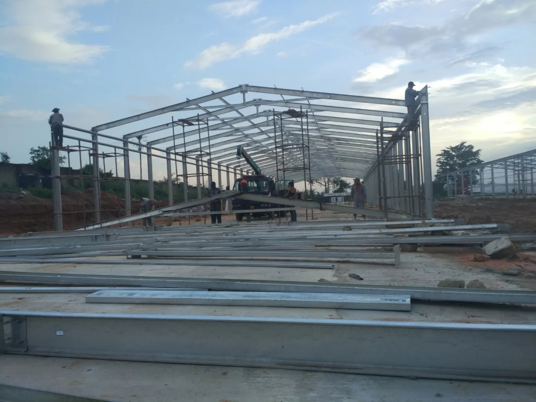 Environmentally Friendly High-Yield Automatic Large Farm Feeding System Equipment