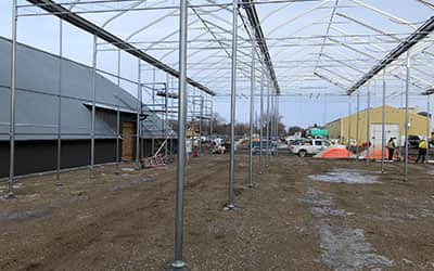 Hot DIP Galvanizing 2000mm Pile Foundation Solar Ground Screw