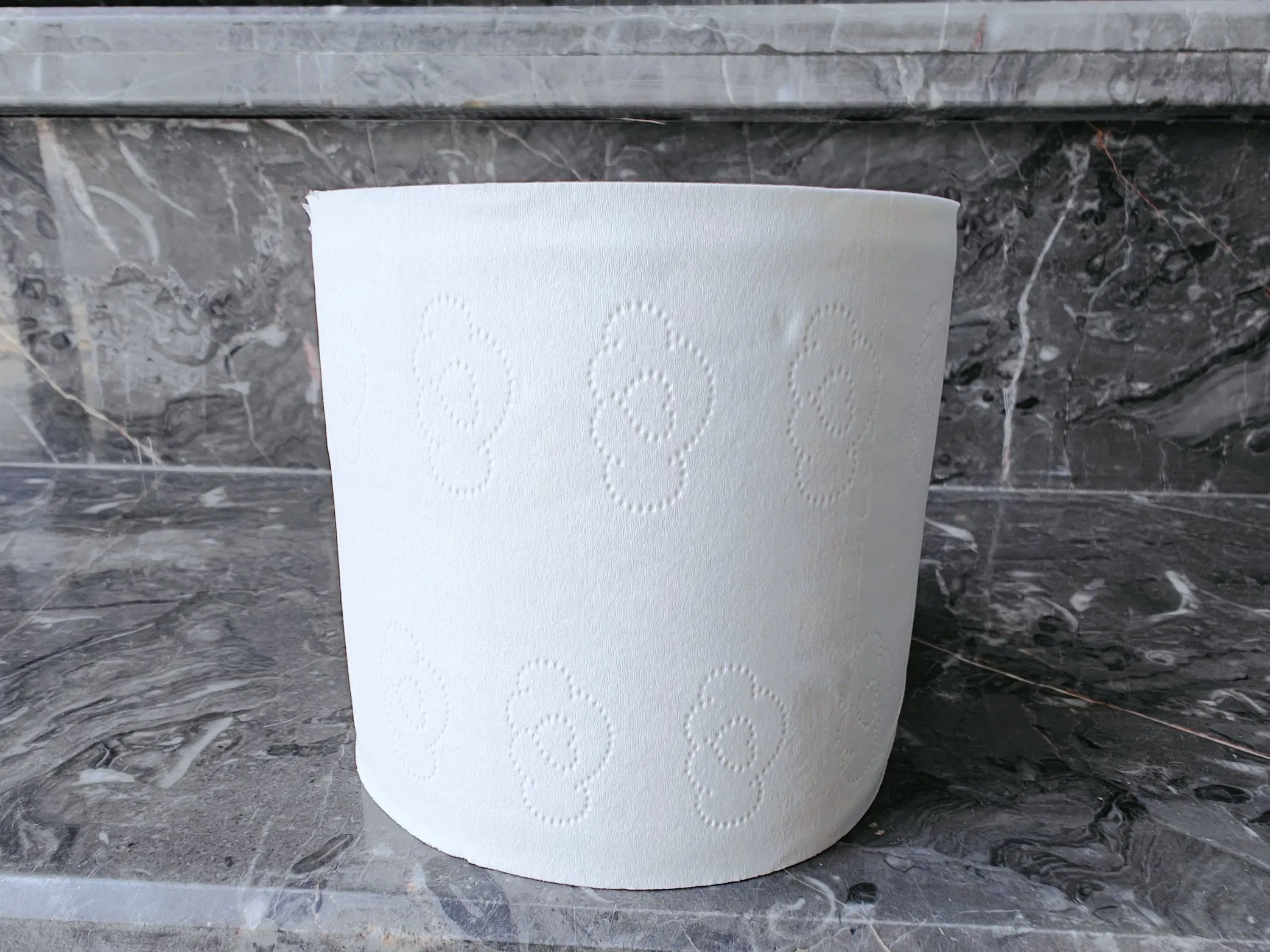 Custom Toilet Paper Paper Roll Premium Quality Individual Wrapped Toilet Paper