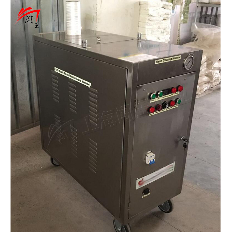 Powerful High Pressure Steam Cleaner for Vehicle Interiors