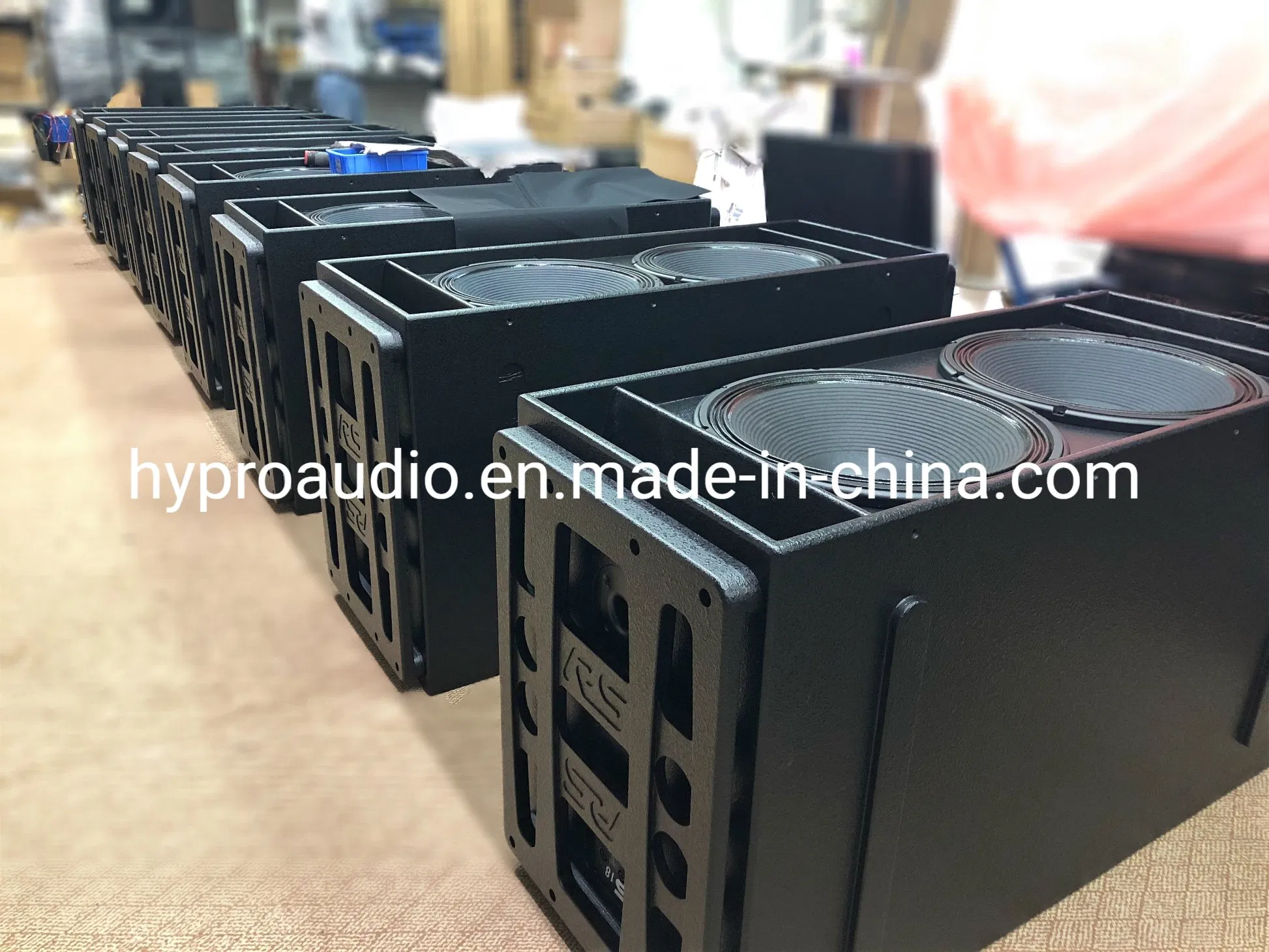 Diase 18-Inch Dual Subwoofer System for Professional Sound