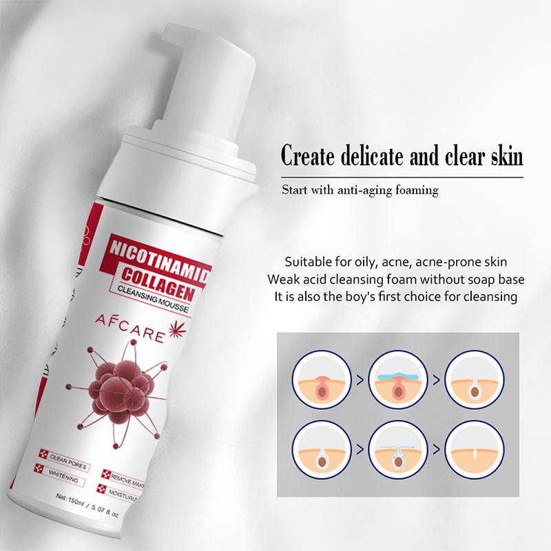 Best Gentle Foam Face Wash Rose Hip Seed Foaming Facial Cleanser