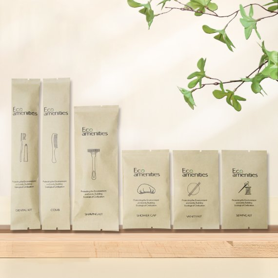 Eco-Friendly Travel Dental Kit Disposable Hotel Toothbrush Set