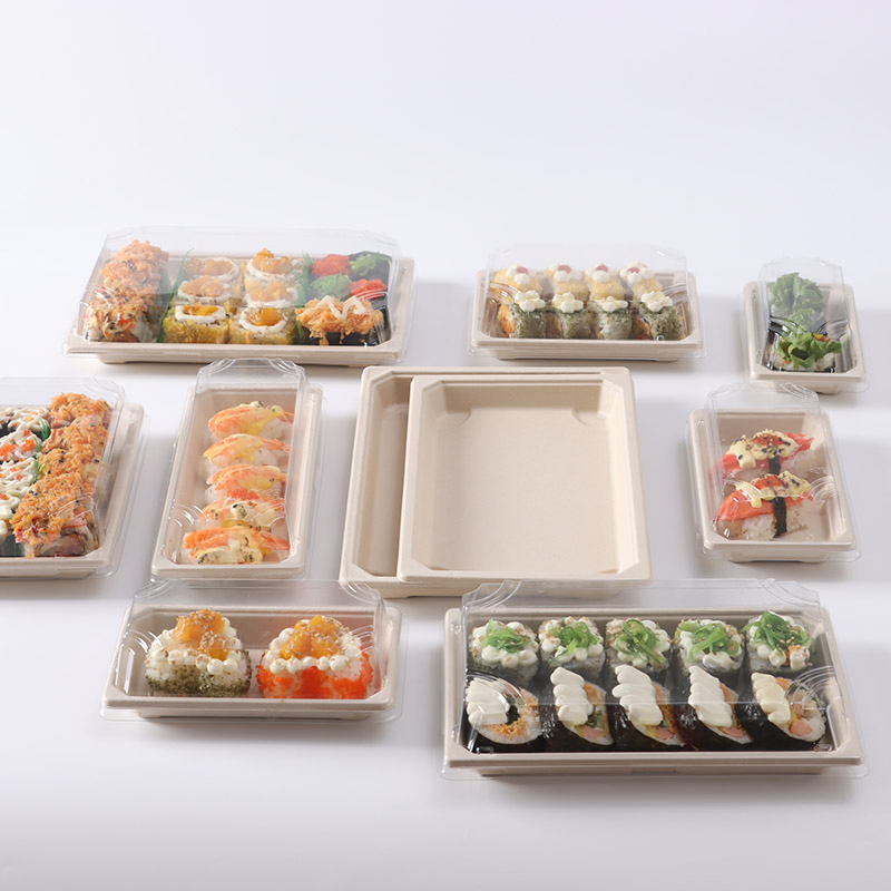 Take-out Environmental Food Packaging Container Sugarcane Paste Sushi Tray Take-out Box