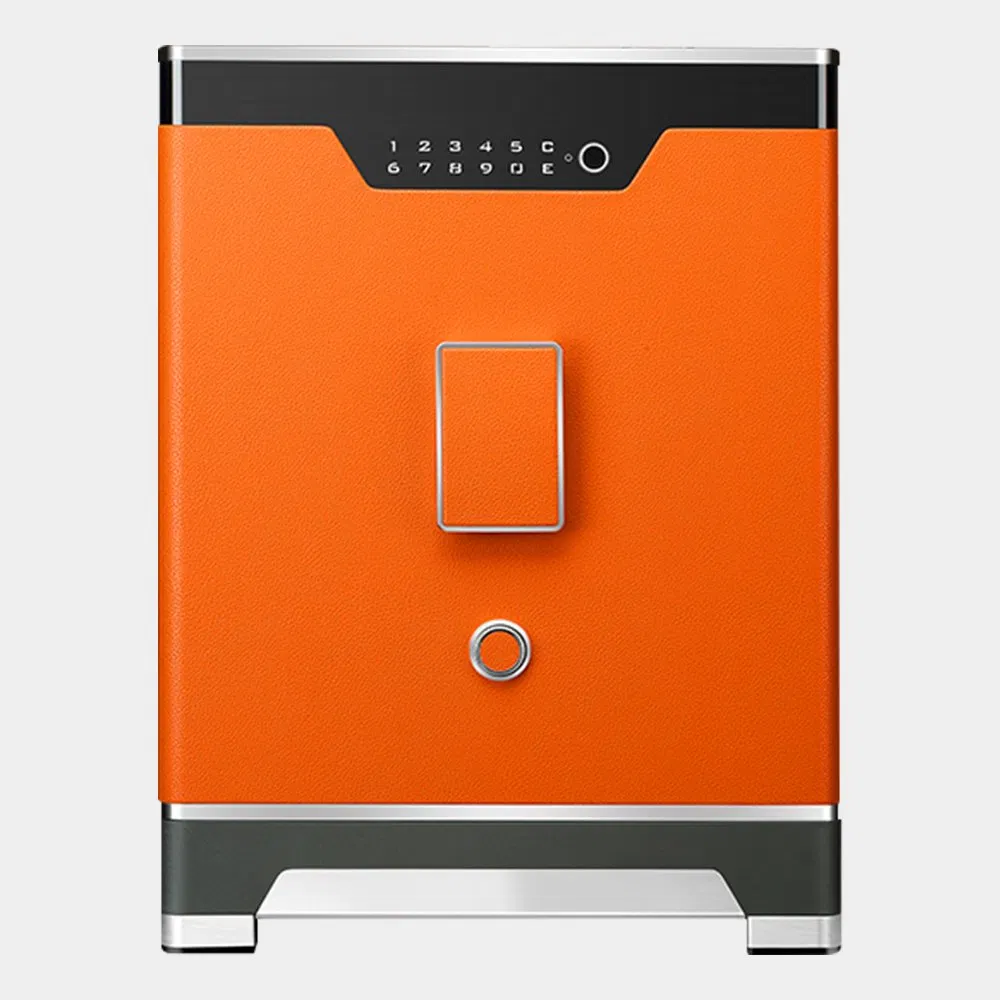 Custom Size Heavy Duty Electronic Luxury Smart Home Safes