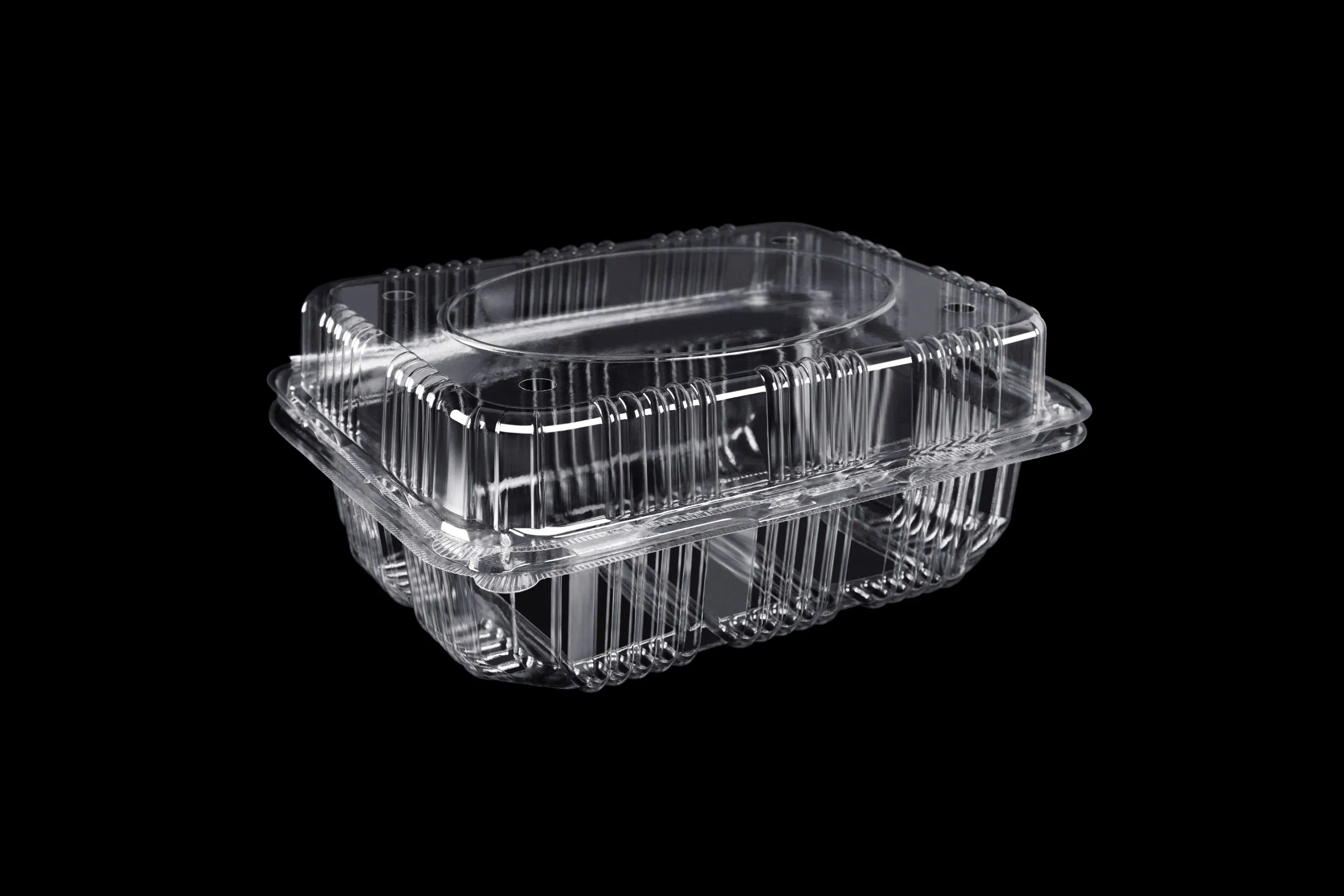 Clamshell Blister Packaging Wholesale Transparent Takeout Boxes Plastic Fruit Tray Food Packaging Container