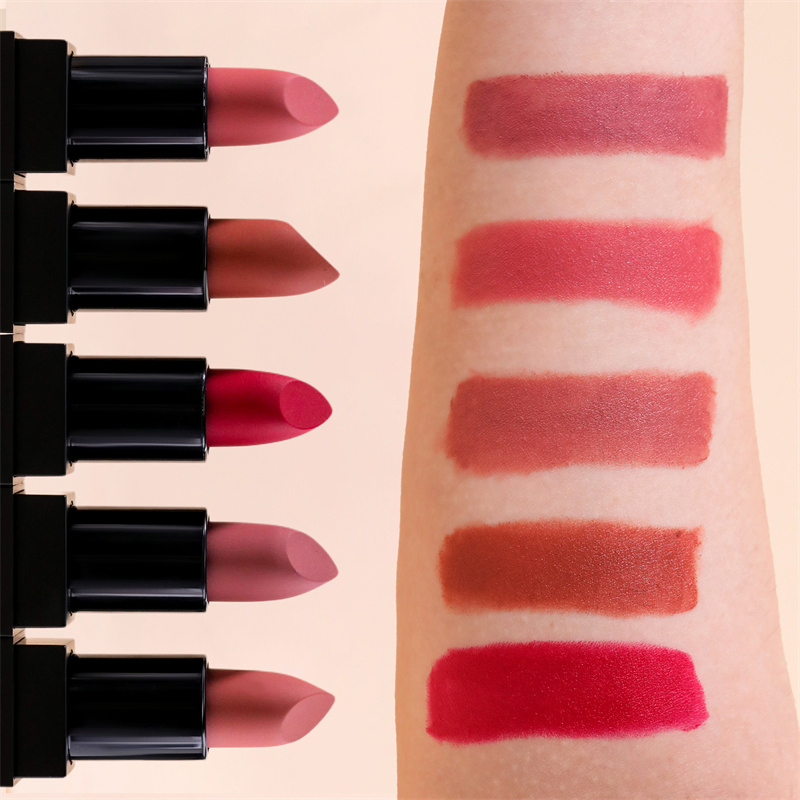 Multi-Colored Private Label Lasting Cosmetic Lipstick for Gift Sets
