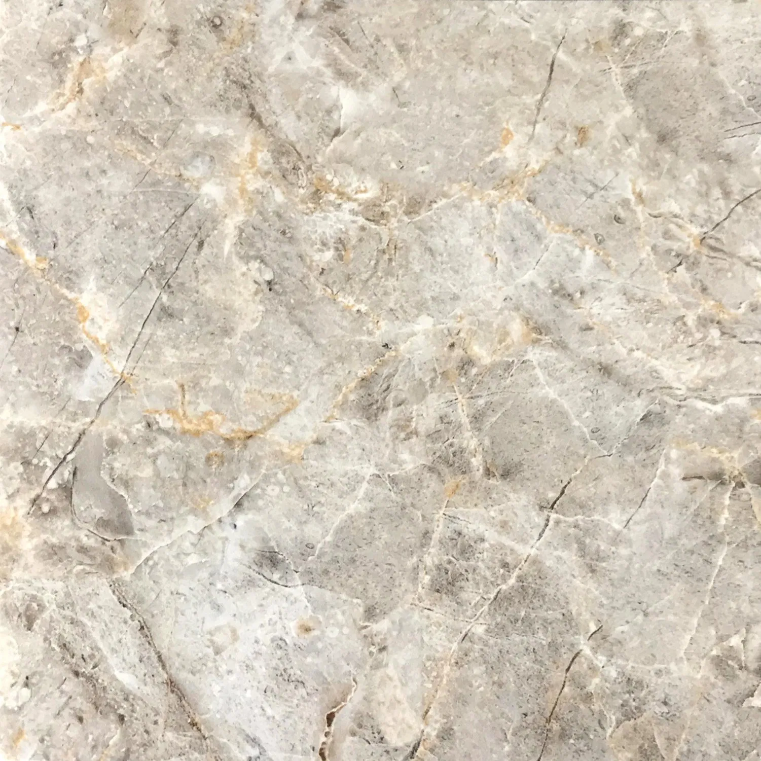 Factory Price Floor Tile for Home Decoration (600*600mm 800X800mm)