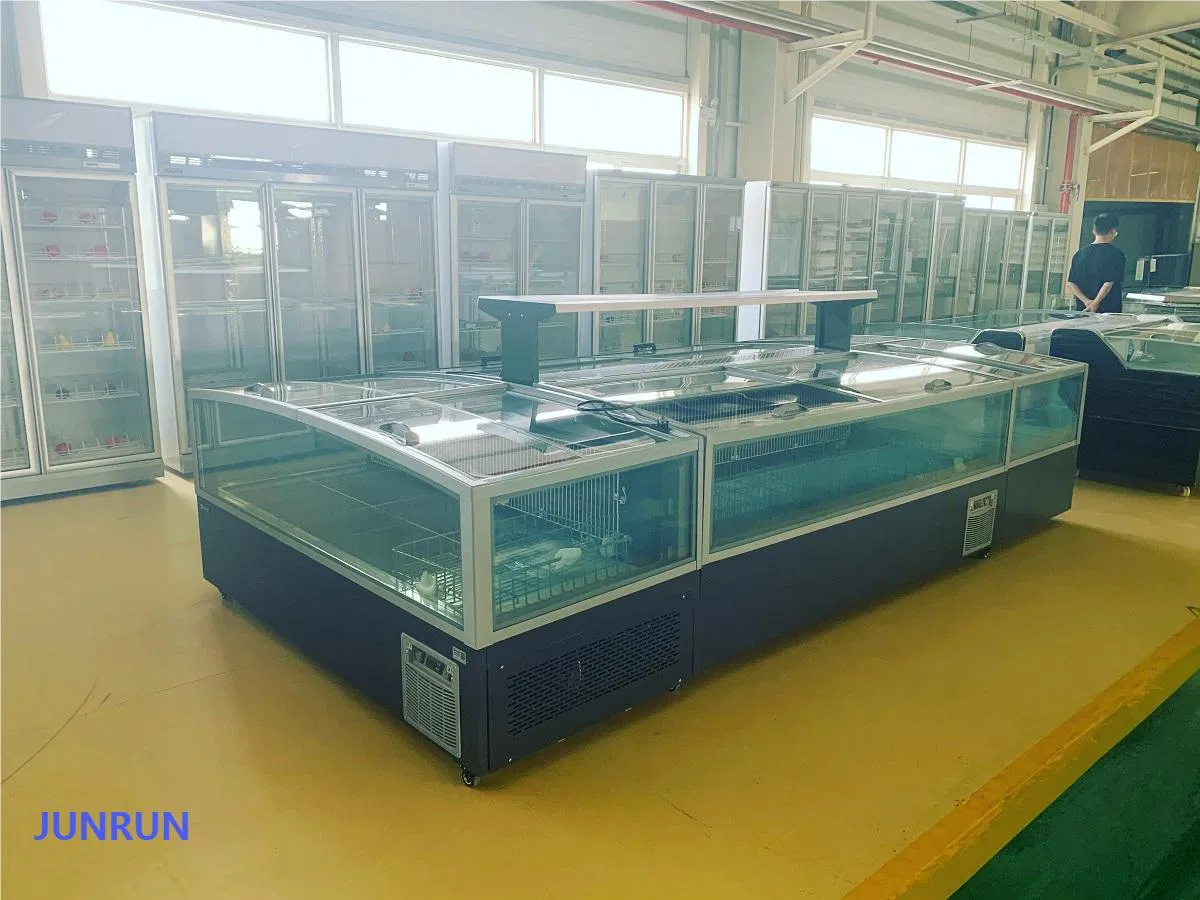 Промышленный морозильный ларь JUNRUN 501L