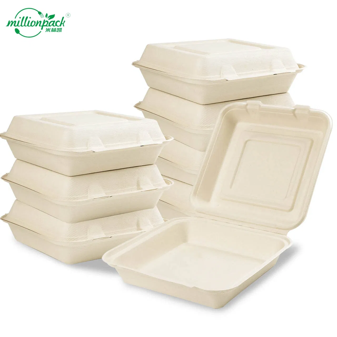 Multi-Purpose Bagasse Square Container for Snacks Meals and Appetizers