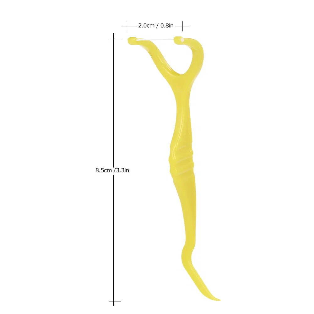 50PCS Bag Packing Tooth Pick Floss Picks Dental Floss Pick for Home Use