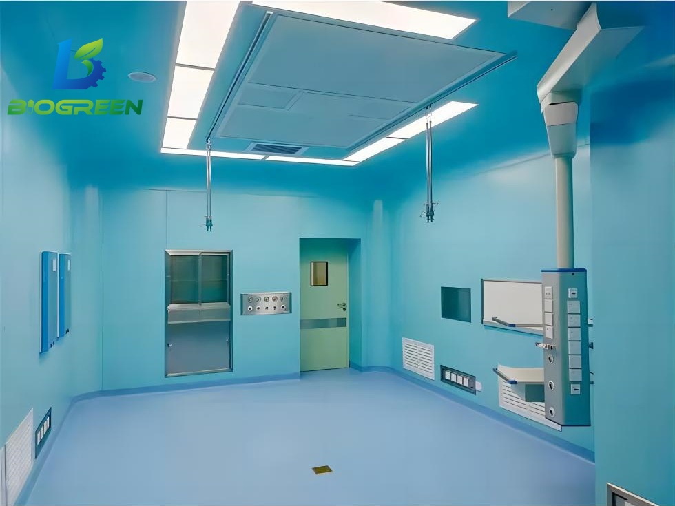 Factory Delivery Professional GMP Cleanroom Project