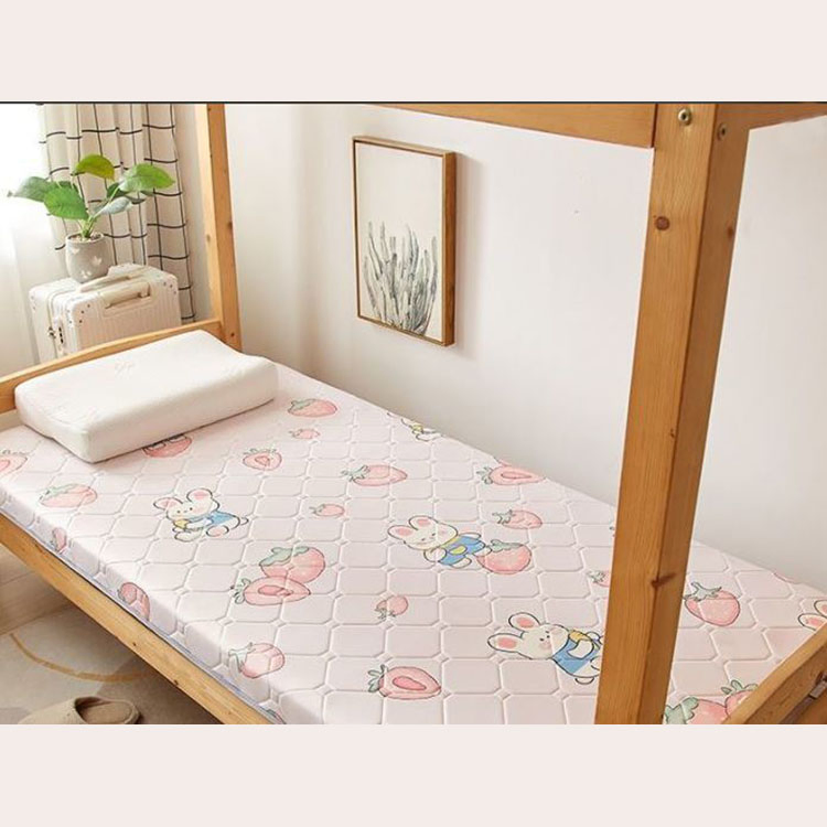 Soft Comfortable Fold Double Sided Cool Seat Single Person Summer Dormitory Mattress