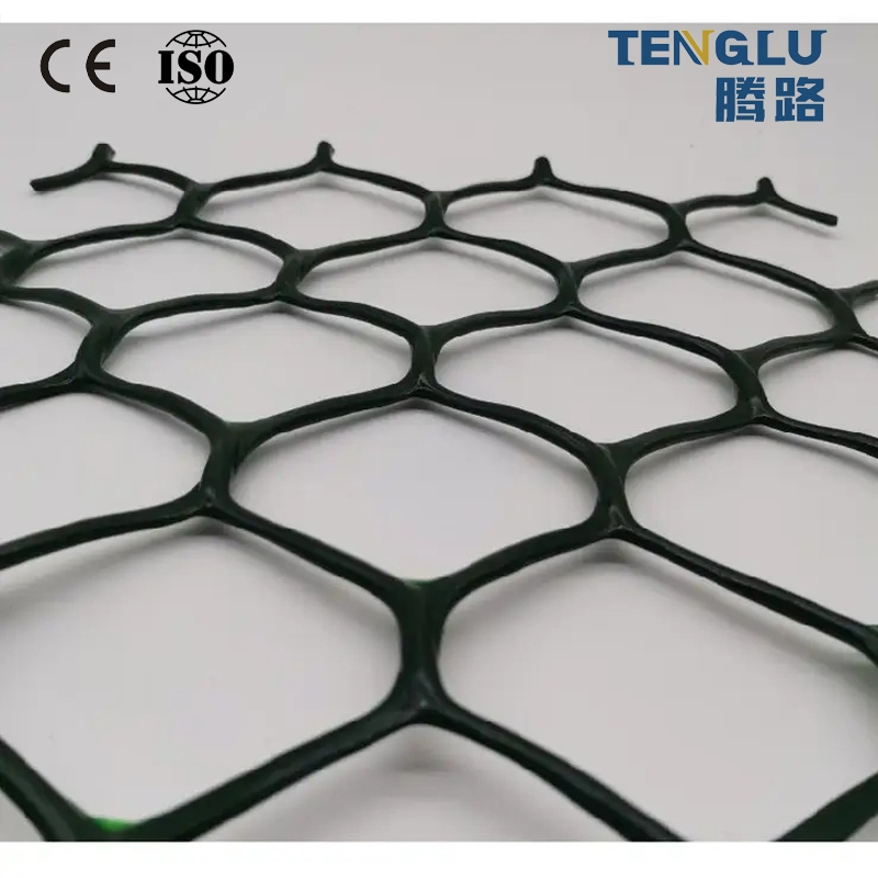 Factory Direct HDPE Geonet Drainage Net for Road Landfill Garden and Civil Engineering