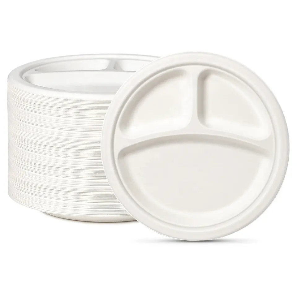 10 Inch White Baggase Disposable Dinner Plates for Meal Party Camping Picnic