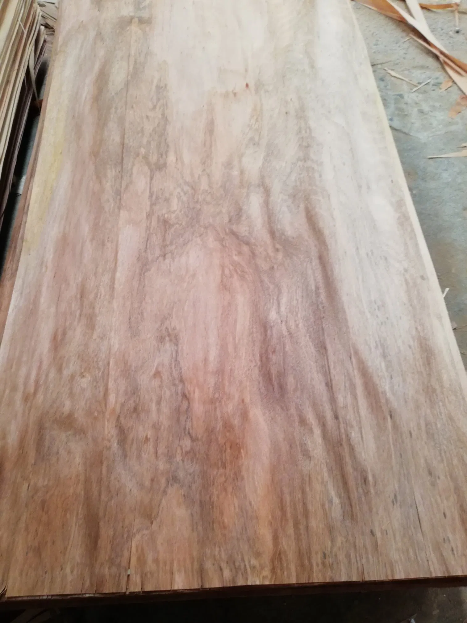 Factory-Natural Veneer Plb, PA and Bur Veneer in 0.25mm