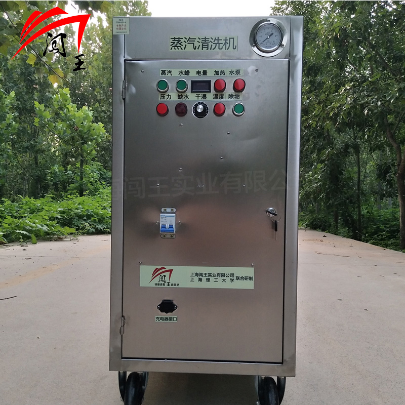 Portable Codeless Car Washing Machine Gas Powered Steam Washer, 4X12V Battery System, No External Power Cord, 50kg/H Steam Flow for Flexible Mobile Cleaning