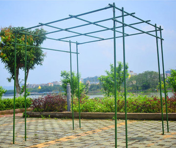 Plastic Coated Metal Flower Plants Trellis for Climbing