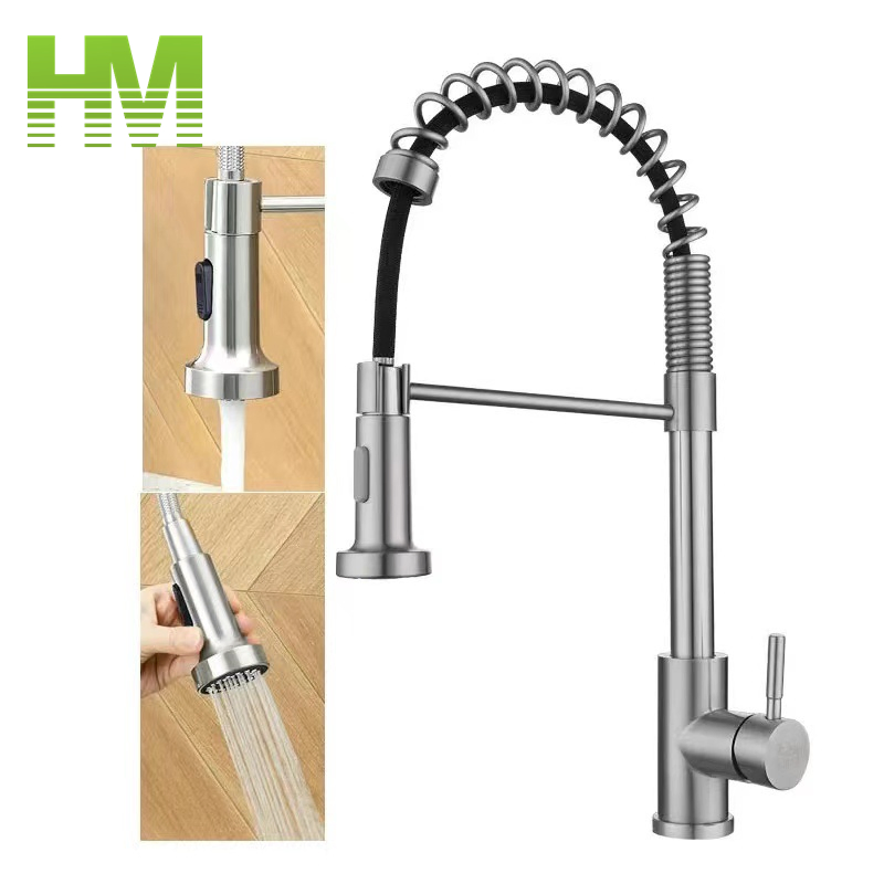Modern Design Stainless Steel Pull out and Pull Down Sprayer Kitchen Mixer