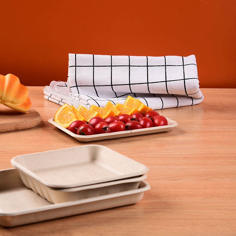 Biodegradable Lunch Container Vegan Meal Box with Divided Sections for Sauce Separation