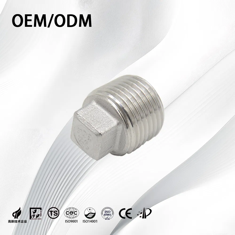Stainless Steel Customize Threaded Pipe Fitting End Plug for Chemical Handling Pipe