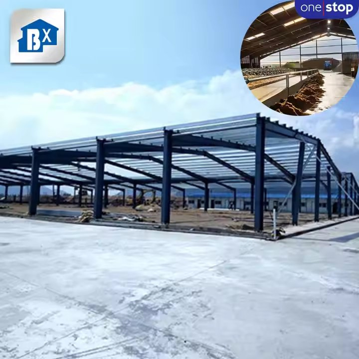 Latest Design Dairy Farm Shed, Cow Shed Farm Building Cattle Design, Prefabricated Steel Structure