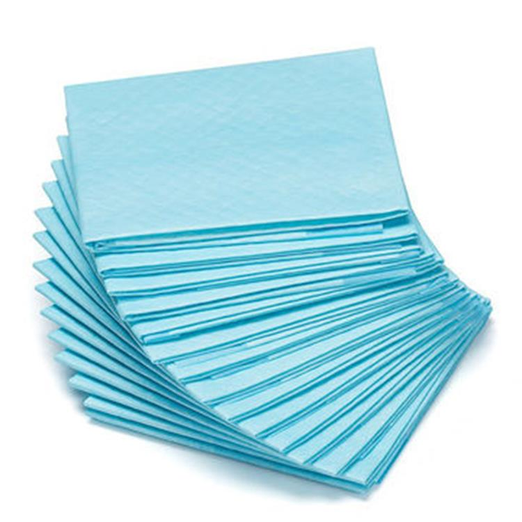 Premium Disposable Bed Underpads for Incontinence Care, Kids & Adults