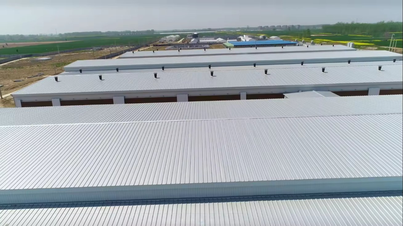 Hot Selling Workshop/Warehouse/Storage Shed/Garage in Australia Market Steel Structure