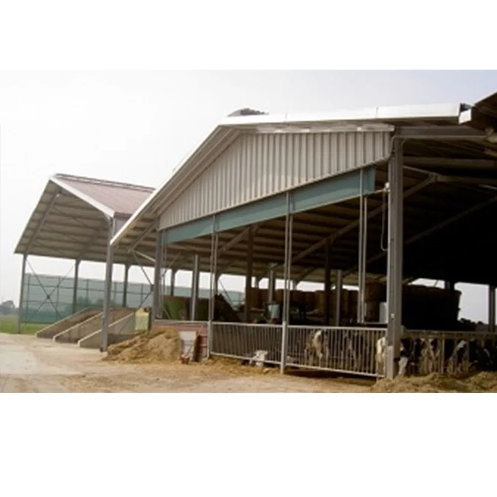 1200 M2 Large Span Prefab Steel Structure Poultry Farm Shed for Broiler Fatten Chicken Pakistan